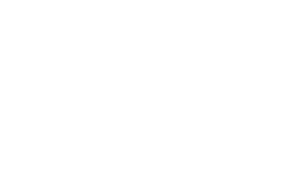 100Bold